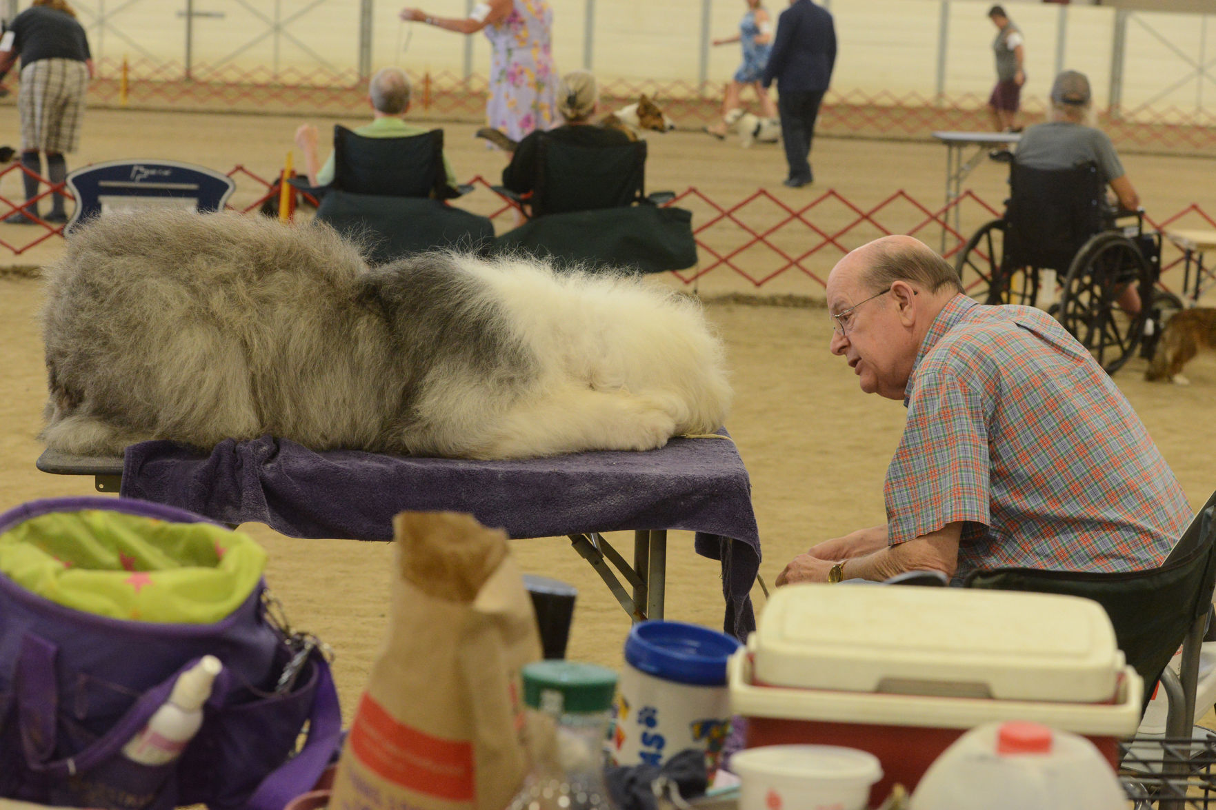 Danville Kennel Club Breeder Show